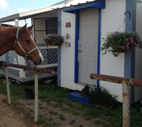 Riverbend Stables - New Orleans, LA