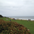 Del Mar Surf School