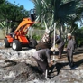 Natures Grounds Landscape Management Inc - Fort Pierce, FL