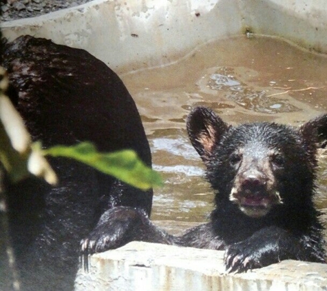 Wildlife Center of Virginia - Waynesboro, VA