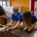 Mississippi Animal Hospital - Veterinarians