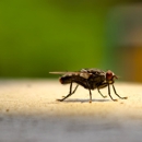Duck's Pest Control - Pest Control Equipment & Supplies
