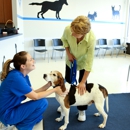 Pets In Stitches, LLC - Veterinarians