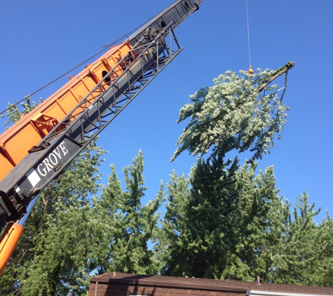 Kachur Tree Service - Niles, MI