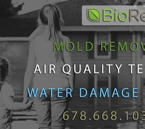 Biorestore Asbestos & Mold Removal Company - Atlanta, GA