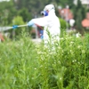 Organic Tick & Mosquito Treatment gallery