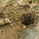 Culver Exterminating Co - Pest Control Equipment & Supplies
