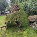 4 Seasons Tree Service - Arborists