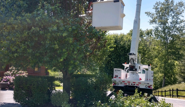 Cope's Mulch Delivered To You & Tree Service - Clyde, NC