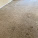 Zerorez Wilmington - Carpet & Rug Cleaners