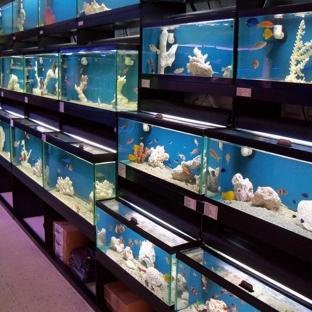 Creative Aquariums of Tampa - Tampa, FL