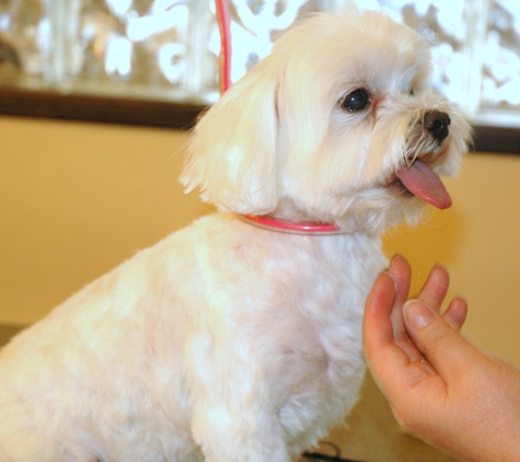 Sparky's Pet Grooming - Los Angeles, CA