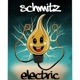 Schmitz Electric