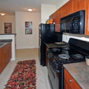 Jefferson at Dedham Station Apartments - Apartment Finder & Rental Service
