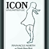 Icon Salon and Spa gallery