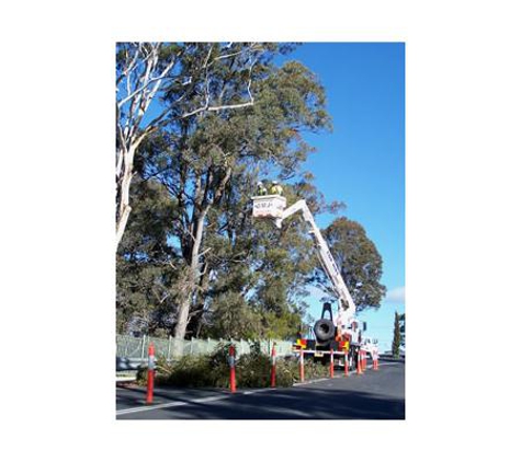 Sapphire Coast Tree Service & Tower Hire