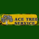Ace Tree Service,LLC. - Tree Service
