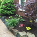 Champion Gardens - Landscaping & Lawn Services