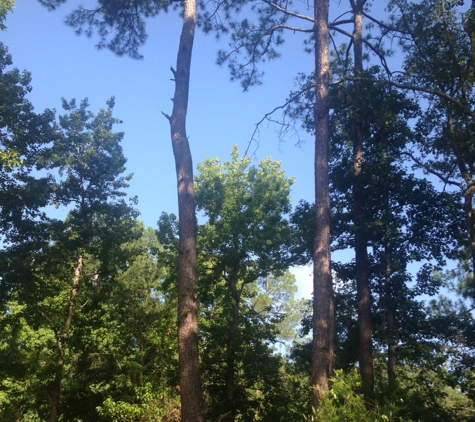 E-Z Tree Care - Jacksonville, FL