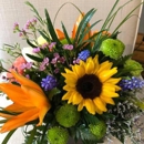 Century House Gifts & Flowers - Florists