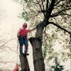 J  & B Professional Tree Service Inc gallery