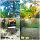 The Arbory Tree Service