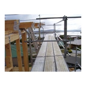 Gallery Image Number 8