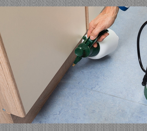 Bass Coast Pest Control - Wonthaggi, VIC