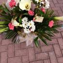 Maria's Club Roses - Florists