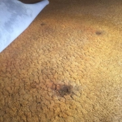 Gallery Image Number 1