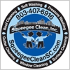 Squeegee Clean Inc gallery