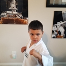 Pro Taekwondo