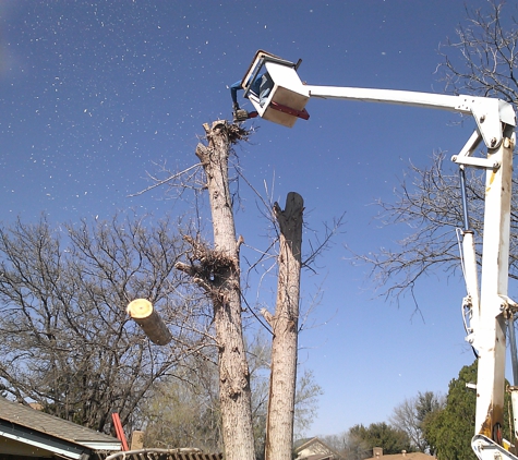 peter's tree trimming service - lubbock, TX