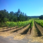 Frei Brothers Winery