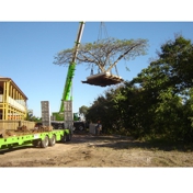 Gallery Image Number 5