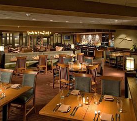 DoubleTree by Hilton Hotel Chicago - Arlington Heights - Arlington Heights, IL