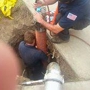 Drain Busters Rooter & Plumbing Service