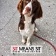 Sit Means Sit Dog Training Tampa