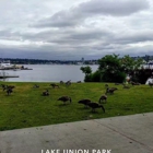 Lake Union Park