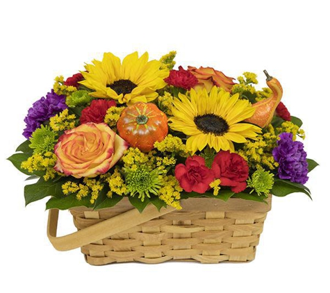 Advance Florist - Advance, NC