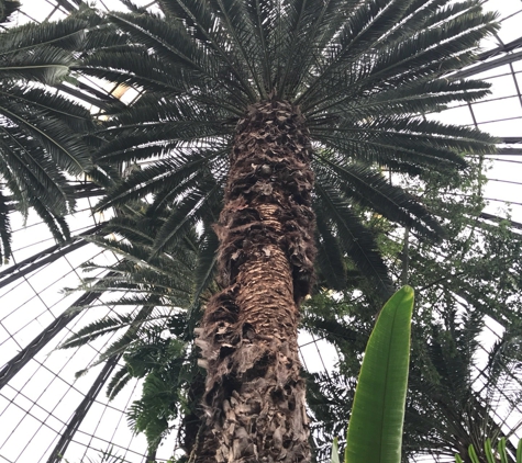 Anna Scripps Whitcomb Conservatory - Detroit, MI