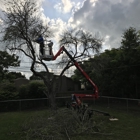 Southern Tree Care