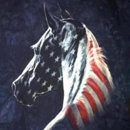 American Barn Busters LLC - Farming Service