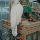 Sugarcreek Bird Farm - Pet Stores