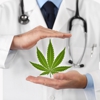 KindHealth Marijuana Doctors gallery