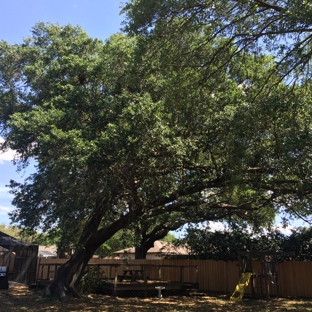 Coronado Lawn & Landscape - Winter Haven, FL. Before with wooden deck