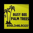 Busy Bee Palm Trees