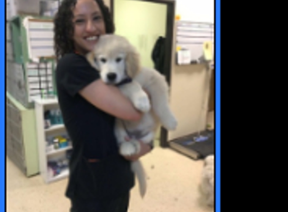 Clear Creek Animal Hospital - Wheat Ridge, CO