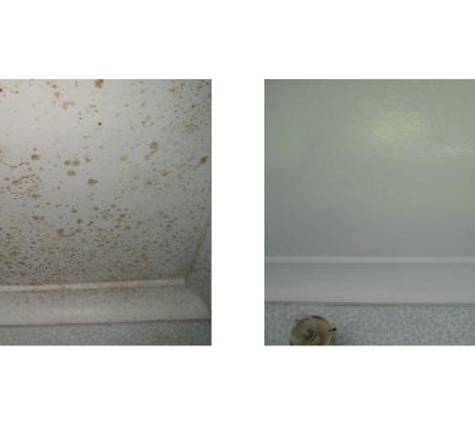 Healthy Home Mold Services Inc - Lake Geneva, WI