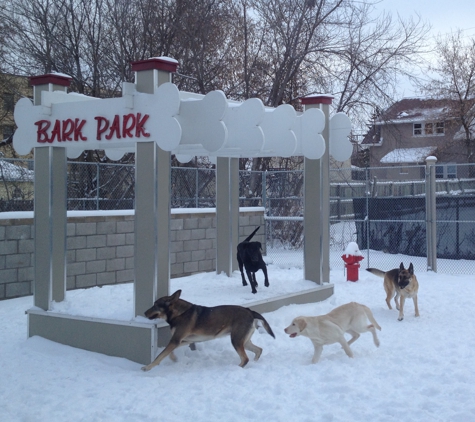 Topdog Pet Care - Jackson, MI